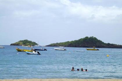Studio avec vue sur la mer jardin clos et wifi a Marigot a 1 km de la plage - image 9