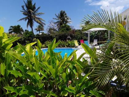 Appartement de 2 chambres avec piscine partagee jardin clos et wifi a Sainte Rose - image 22