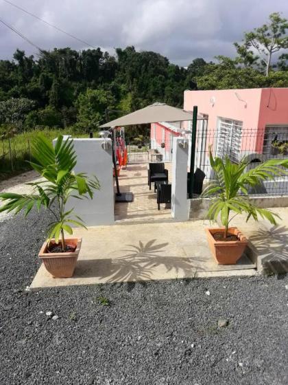 Maison d'une chambre avec piscine partagee terrasse amenagee et wifi a Petit Bourg - image 1