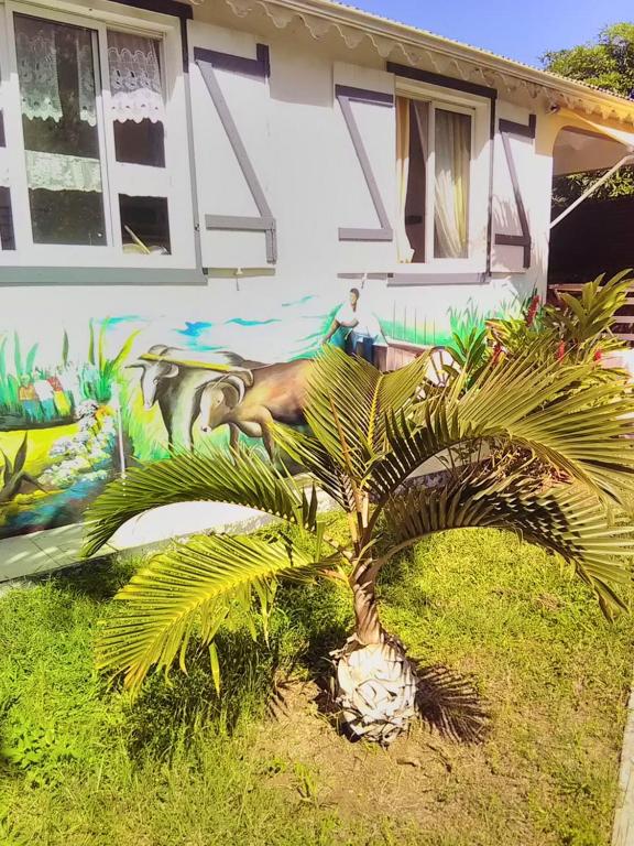 Bungalow de 2 chambres avec piscine partagee terrasse et wifi a Sainte Rose - image 6