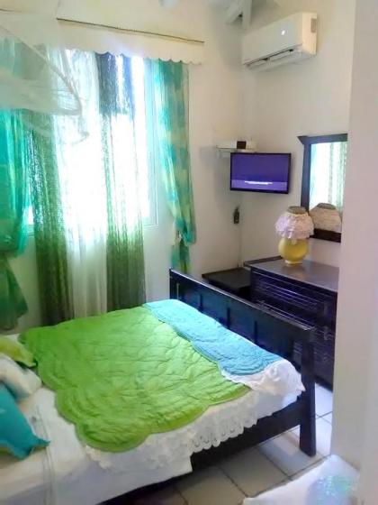Bungalow de 2 chambres avec piscine partagee terrasse et wifi a Sainte Rose - image 8