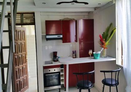 Appartement d'une chambre avec jardin amenage et wifi a Lamentin - image 1
