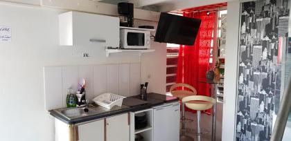 Appartement d'une chambre avec jardin amenage et wifi a Lamentin - image 16
