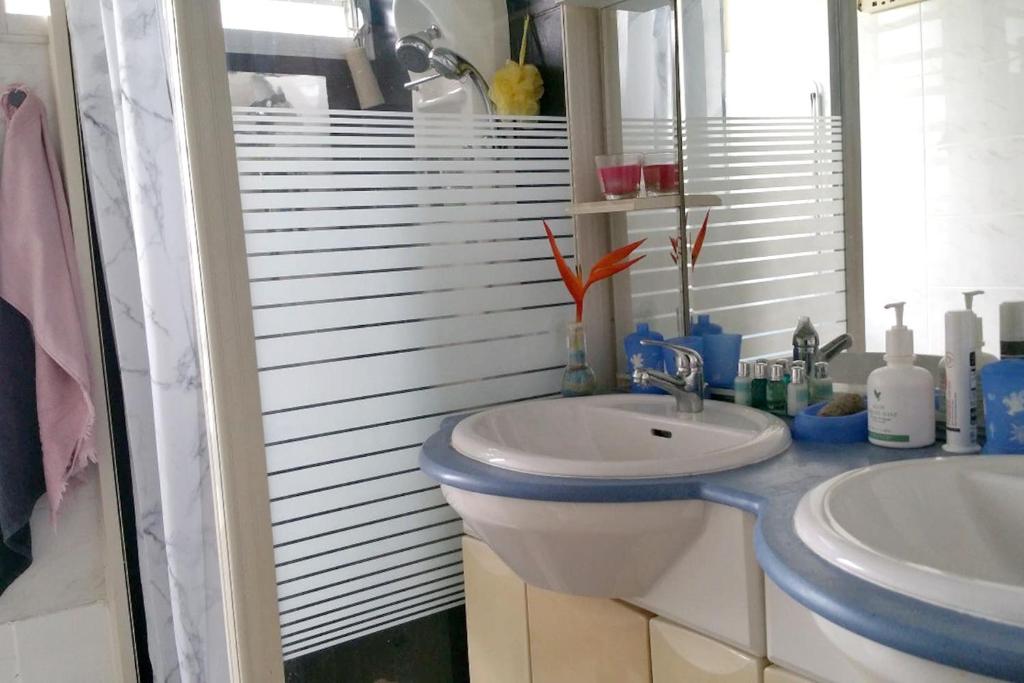 Appartement d'une chambre avec jardin amenage et wifi a Lamentin - image 5