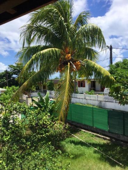Maison de 2 chambres avec jardin clos et wifi a Le Moule a 2 km de la plage - image 18