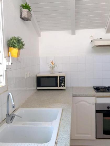 Maison de 2 chambres avec jardin clos et wifi a Le Gosier a 3 km de la plage - image 10