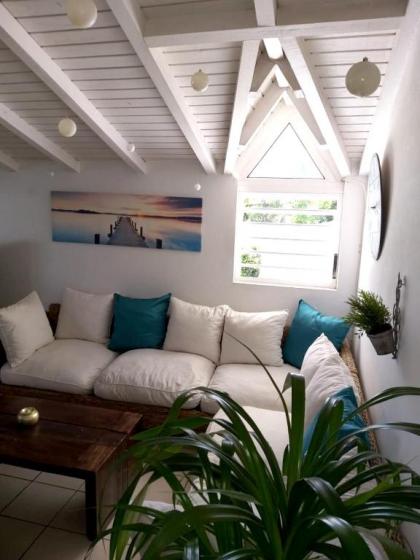 Maison de 2 chambres avec jardin clos et wifi a Le Gosier a 3 km de la plage - image 13
