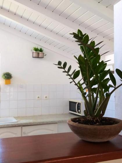 Maison de 2 chambres avec jardin clos et wifi a Le Gosier a 3 km de la plage - image 14