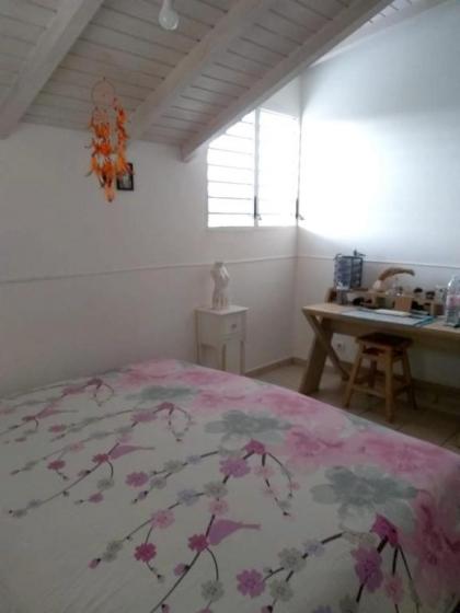 Maison de 2 chambres avec jardin clos et wifi a Le Gosier a 3 km de la plage - image 16