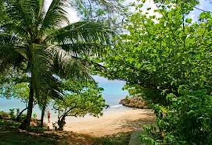Maison de 2 chambres avec jardin clos et wifi a Le Gosier a 3 km de la plage - image 19