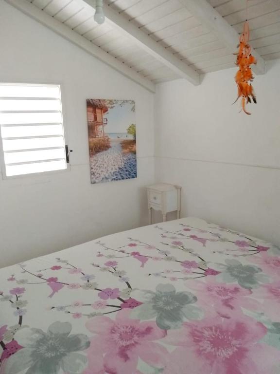 Maison de 2 chambres avec jardin clos et wifi a Le Gosier a 3 km de la plage - image 5