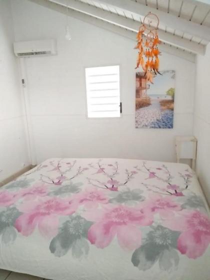 Maison de 2 chambres avec jardin clos et wifi a Le Gosier a 3 km de la plage - image 7