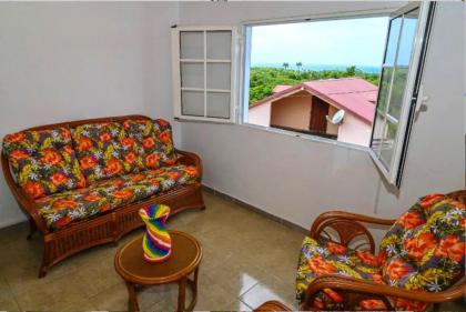 Maison de 2 chambres avec vue sur la mer terrasse amenagee et wifi a Vieux Habitants a 1 km de la plage - image 3