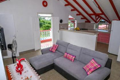 Maison de 2 chambres avec vue sur la mer terrasse amenagee et wifi a Vieux Habitants a 1 km de la plage - image 8