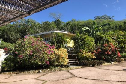Kazavannah beautiful brand new bungalow Vieux Habitants Guadeloupe - image 1