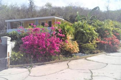 Kazavannah beautiful brand new bungalow Vieux Habitants Guadeloupe - image 9