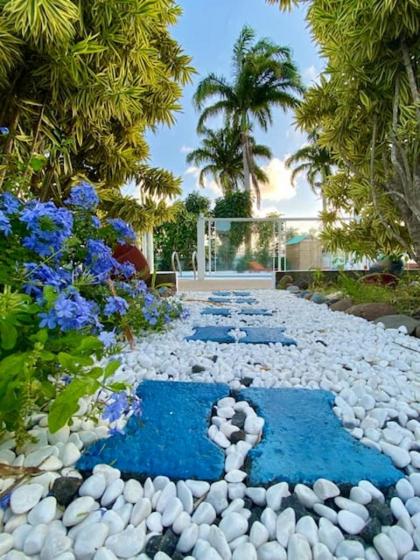Villa de 5 chambres avec vue sur la mer piscine privee et jardin clos a Saint Francois - image 13