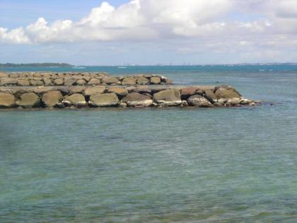 Studio avec jardin clos et wifi a Capesterre Belle Eau a 3 km de la plage - image 17