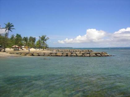 Studio avec jardin clos et wifi a Capesterre Belle Eau a 3 km de la plage - image 19