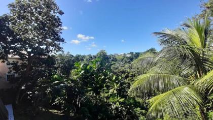 Appartement d'une chambre avec piscine partagee balcon et wifi a Sainte Anne a 6 km de la plage - image 9