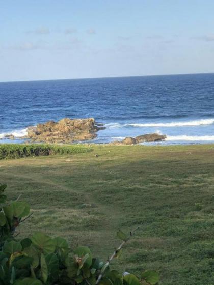 Villa with 2 bedrooms in Le Moule with wonderful sea view private pool enclosed garden - image 10