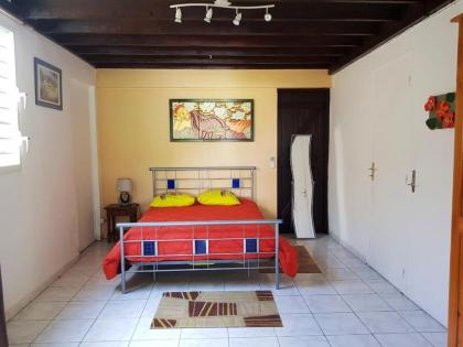 Apartment with 3 bedrooms in SainteRose with wonderful sea view shared pool enclosed garden 8 km from the beach - image 4