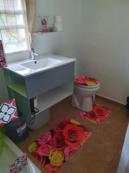 Gîtes Espace Quiétude Chalet ALPINIA Avec WIFI - image 12