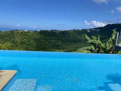Bungalow de 2 chambres avec vue sur la mer piscine partagee et jardin clos a Vieux Habitants a 6 km de la plage - image 22