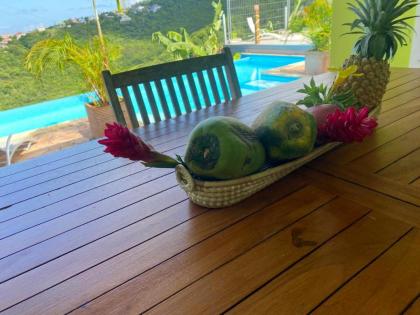 Bungalow de 2 chambres avec vue sur la mer piscine partagee et jardin clos a Vieux Habitants a 6 km de la plage - image 25