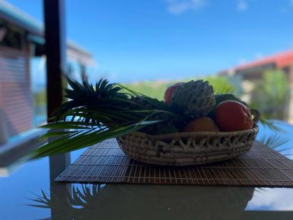 Bungalow de 2 chambres avec vue sur la mer piscine partagee et jardin clos a Vieux Habitants a 6 km de la plage - image 29