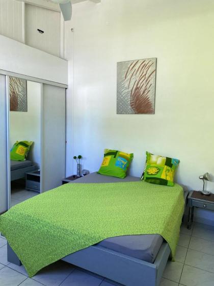 Maison d'une chambre avec wifi a Pointe a Pitre - image 15
