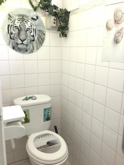 Maison d'une chambre avec wifi a Pointe a Pitre - image 5