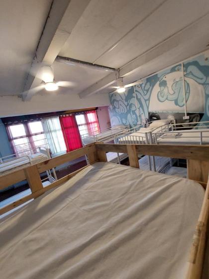 The GREEN Hostel - image 10