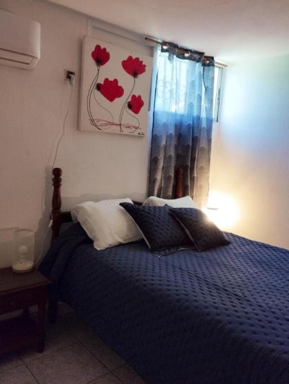Appartement d'une chambre avec wifi a Le Gosier a 1 km de la plage - image 14