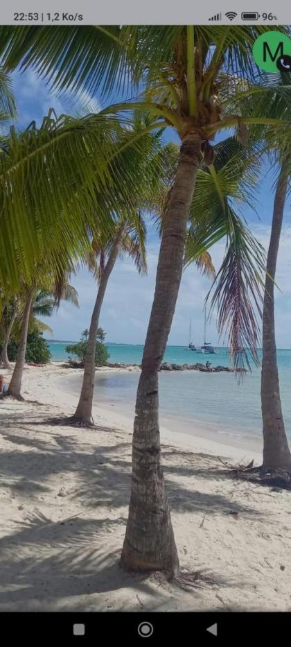 Appartement d'une chambre avec wifi a Le Gosier a 1 km de la plage - image 15