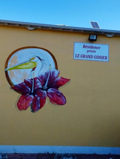 Appartement d'une chambre avec wifi a Le Gosier a 1 km de la plage - image 4