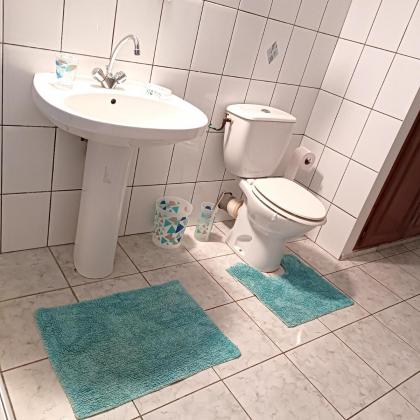 Appartement d'une chambre avec jardin a Le Gosier - image 5