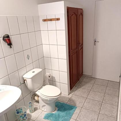 Appartement d'une chambre avec jardin a Le Gosier - image 6