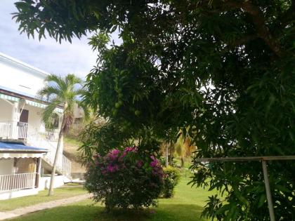 Appartement d'une chambre avec jardin a Le Gosier - image 8