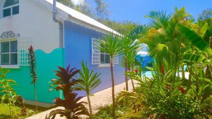 Room in Bungalow - Bed and breakfast Guadeloupe - image 5