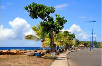 Bungalow de 2 chambres avec vue sur la mer jardin clos et wifi a Anse Bertrand - image 13