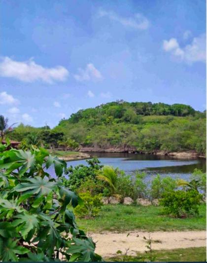 Bungalow de 2 chambres avec vue sur la mer jardin clos et wifi a Anse Bertrand - image 9