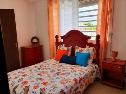 Maison de 3 chambres avec jardin clos et wifi a Petit Canal a 4 km de la plage - image 11
